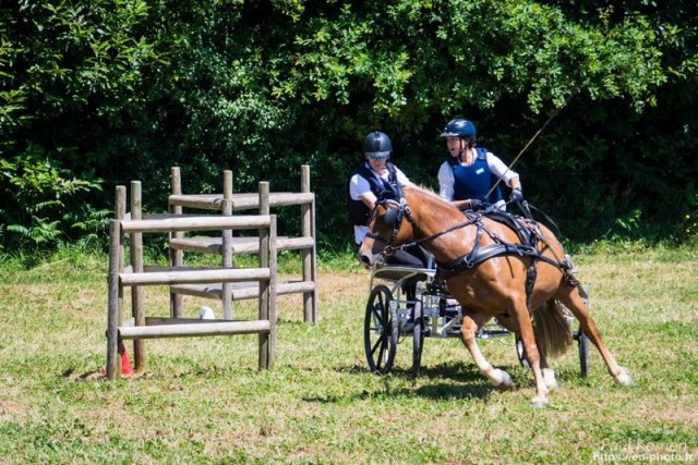 (099)Concours attelage.Scaer 6-7 juillet 2019