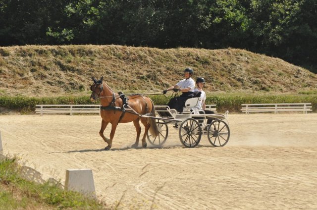(099)Concours attelage.Scaer 6-7 juillet 2019