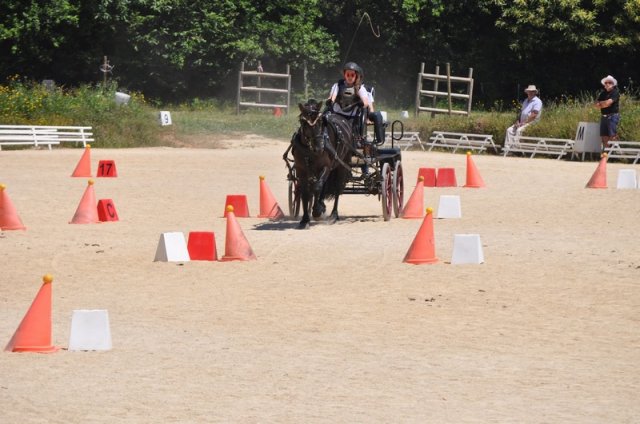 (099)Concours attelage.Scaer 6-7 juillet 2019