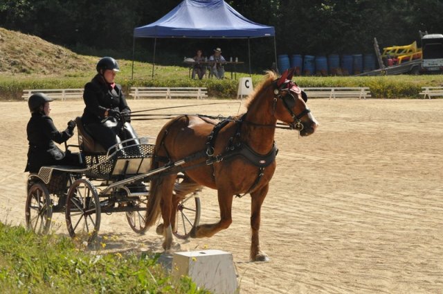 (099)Concours attelage.Scaer 6-7 juillet 2019