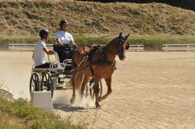 (099)Concours attelage.Scaer 6-7 juillet 2019