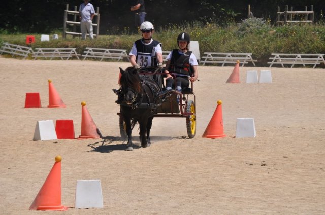 (099)Concours attelage.Scaer 6-7 juillet 2019