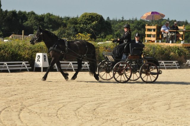 (099)Concours attelage.Scaer 6-7 juillet 2019