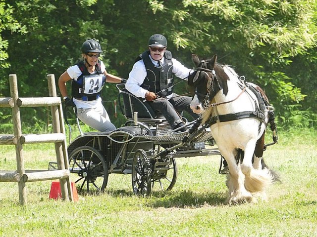 (099)Concours attelage.Scaer 6-7 juillet 2019