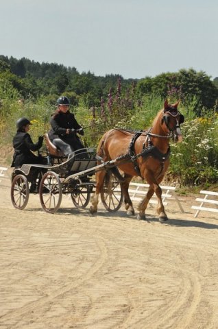 (099)Concours attelage.Scaer 6-7 juillet 2019