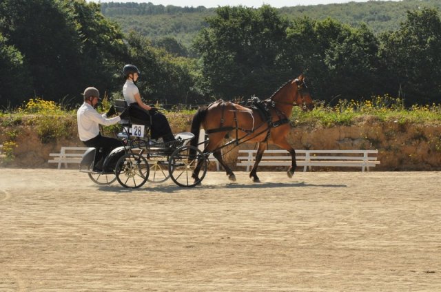 (099)Concours attelage.Scaer 6-7 juillet 2019