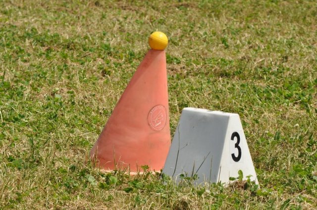 (099)Concours attelage.Scaer 6-7 juillet 2019
