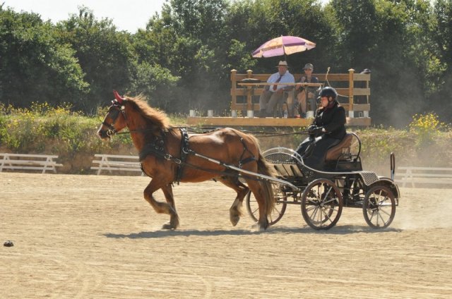 (099)Concours attelage.Scaer 6-7 juillet 2019
