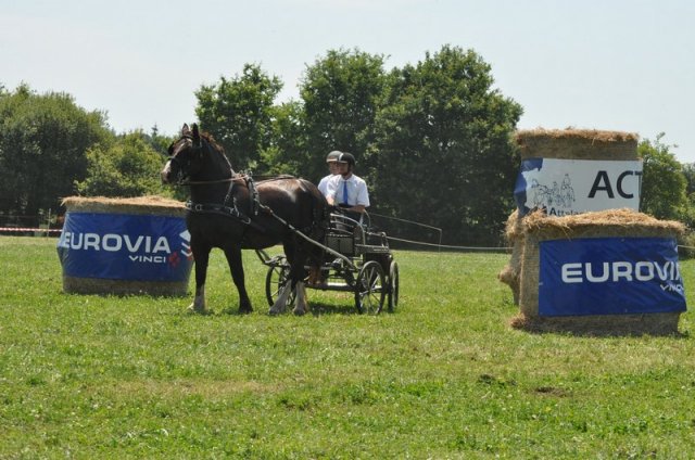 (099)Concours attelage.Scaer 6-7 juillet 2019