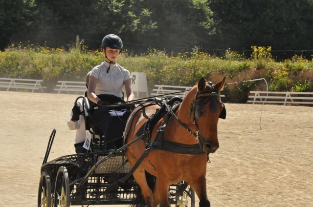 (099)Concours attelage.Scaer 6-7 juillet 2019
