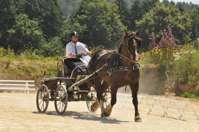 (099)Concours attelage.Scaer 6-7 juillet 2019