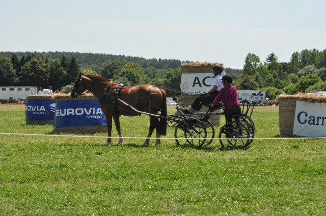 (099)Concours attelage.Scaer 6-7 juillet 2019