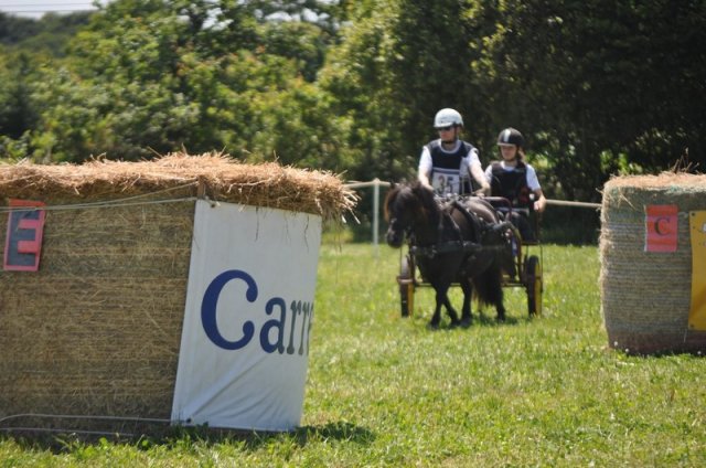 (099)Concours attelage.Scaer 6-7 juillet 2019