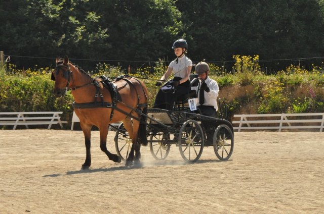 (099)Concours attelage.Scaer 6-7 juillet 2019