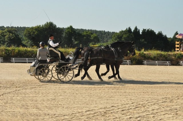 (099)Concours attelage.Scaer 6-7 juillet 2019