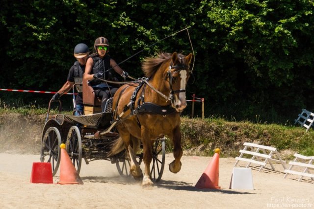 (099)Concours attelage.Scaer 6-7 juillet 2019