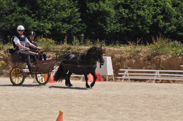 (099)Concours attelage.Scaer 6-7 juillet 2019