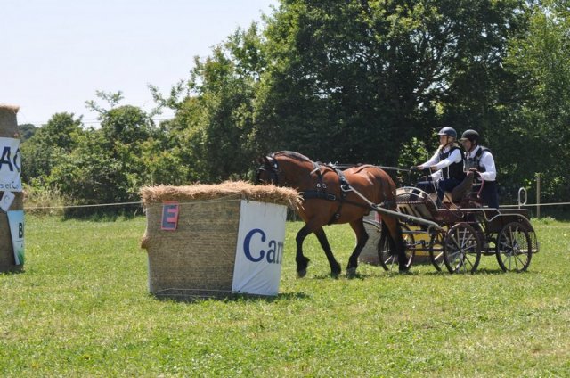 (099)Concours attelage.Scaer 6-7 juillet 2019