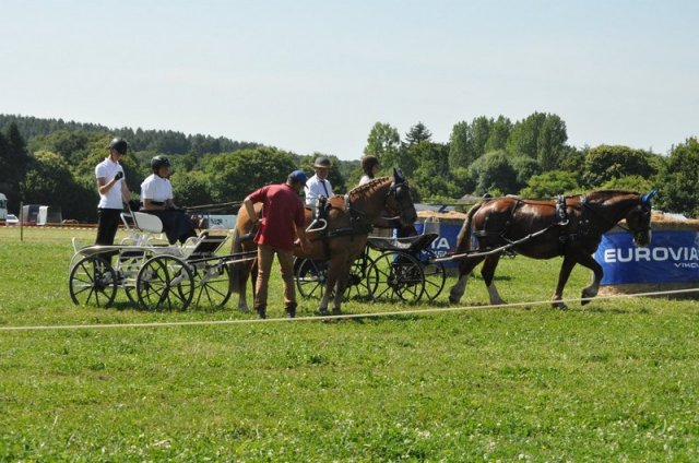 (099)Concours attelage.Scaer 6-7 juillet 2019