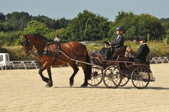 (099)Concours attelage.Scaer 6-7 juillet 2019