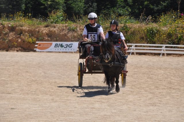 (099)Concours attelage.Scaer 6-7 juillet 2019