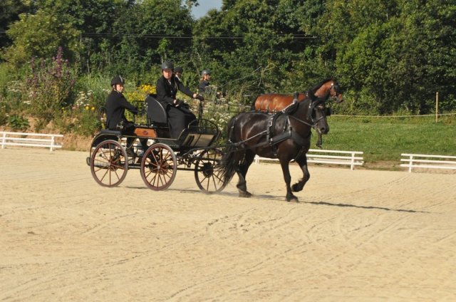 (099)Concours attelage.Scaer 6-7 juillet 2019