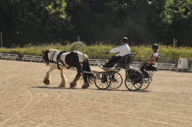 (099)Concours attelage.Scaer 6-7 juillet 2019
