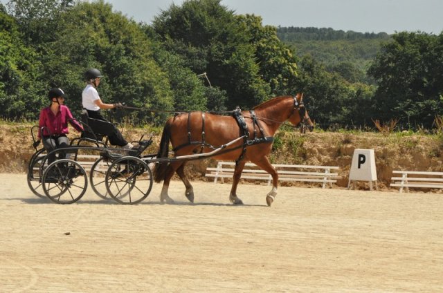 (099)Concours attelage.Scaer 6-7 juillet 2019