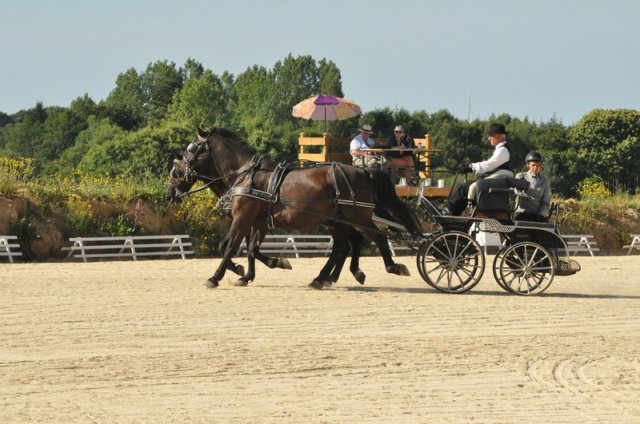 (099)Concours attelage.Scaer 6-7 juillet 2019