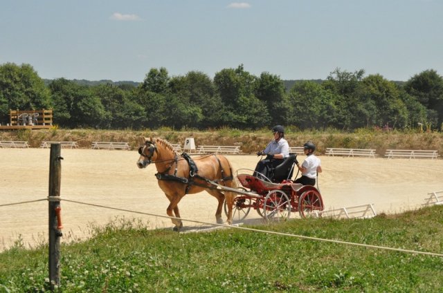 (099)Concours attelage.Scaer 6-7 juillet 2019