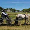 (099)Concours attelage.Scaer 6-7 juillet 2019