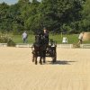 (099)Concours attelage.Scaer 6-7 juillet 2019