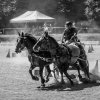 (099)Concours attelage.Scaer 6-7 juillet 2019