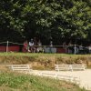 (099)Concours attelage.Scaer 6-7 juillet 2019