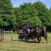 (099)Concours attelage.Scaer 6-7 juillet 2019