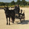 (099)Concours attelage.Scaer 6-7 juillet 2019