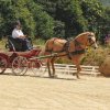 (099)Concours attelage.Scaer 6-7 juillet 2019
