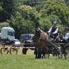 (099)Concours attelage.Scaer 6-7 juillet 2019