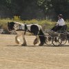 (099)Concours attelage.Scaer 6-7 juillet 2019