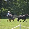 (099)Concours attelage.Scaer 6-7 juillet 2019