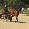 (099)Concours attelage.Scaer 6-7 juillet 2019