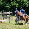 (099)Concours attelage.Scaer 6-7 juillet 2019