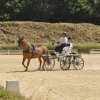 (099)Concours attelage.Scaer 6-7 juillet 2019