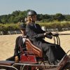 (099)Concours attelage.Scaer 6-7 juillet 2019