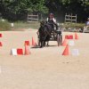 (099)Concours attelage.Scaer 6-7 juillet 2019