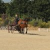 (099)Concours attelage.Scaer 6-7 juillet 2019