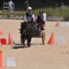 (099)Concours attelage.Scaer 6-7 juillet 2019