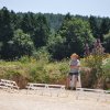 (099)Concours attelage.Scaer 6-7 juillet 2019
