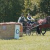 (099)Concours attelage.Scaer 6-7 juillet 2019