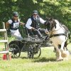 (099)Concours attelage.Scaer 6-7 juillet 2019
